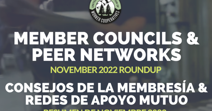 An image with the USFWC logo that reads Member Councils and Peer Networks November 2022 Roundup