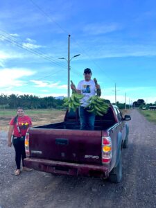A person standing in a red pickup truck holds two bunches of green plantains