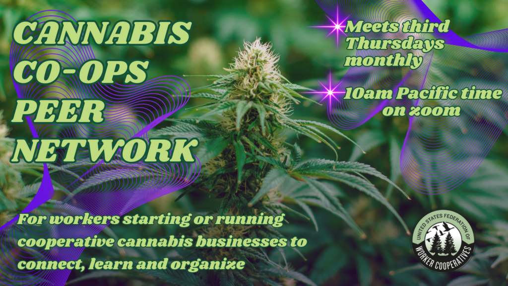 photo of a cannabis plant, text reads cannabis cooperatives peer network