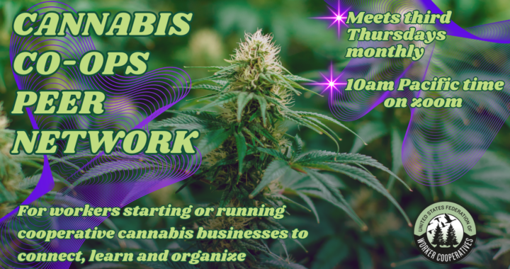 photo of a cannabis plant, text reads cannabis cooperatives peer network