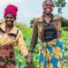 Tune into the United National Forum for the International Day of Cooperatives on July 6