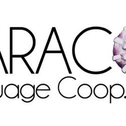 Caracol Language Coop