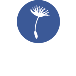 New Economy Coalition