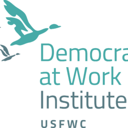 Democracy At Work Institute