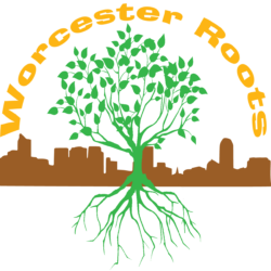 Worcester Roots